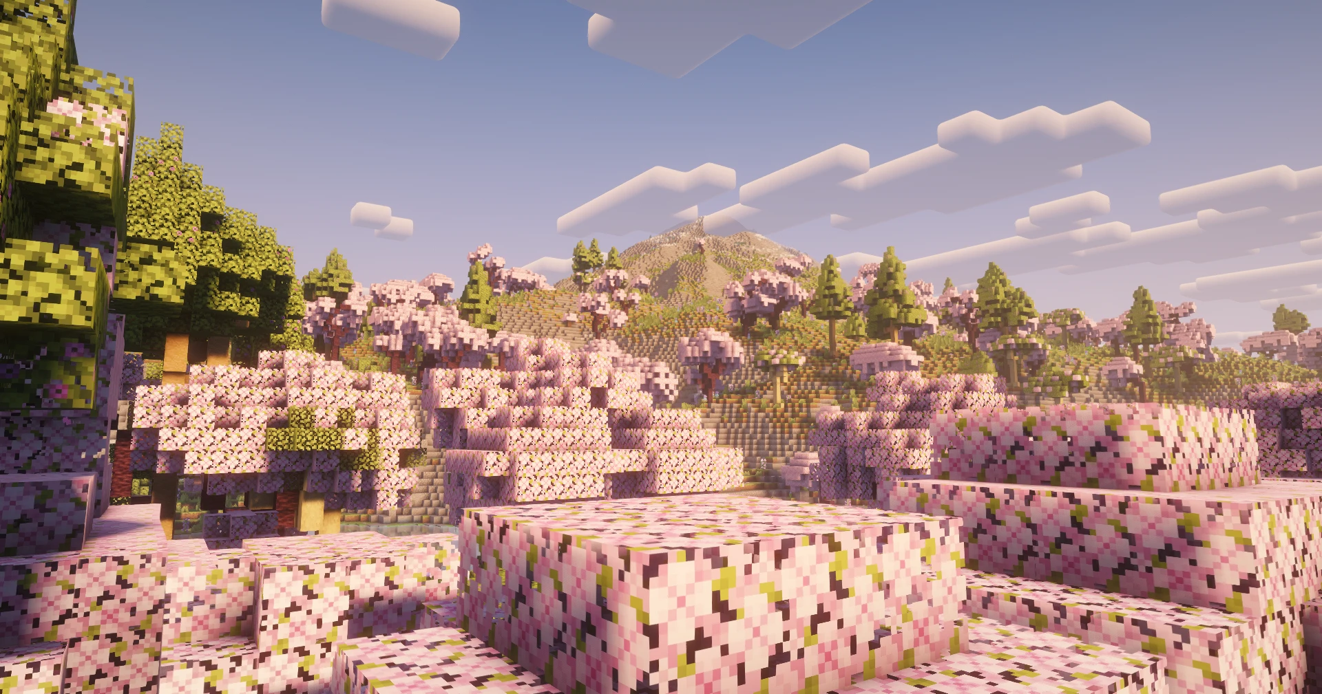 Blossom Peak — a cherry-blossom mountain in the Slooothville Minecraft world
